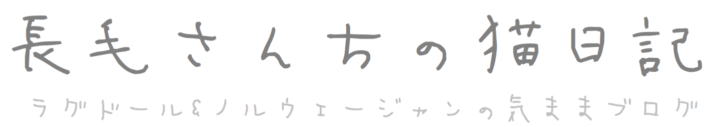 長毛さんちの猫日記｜ラグドール&ノルウェージャンの気ままブログ